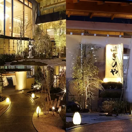 Haginoya