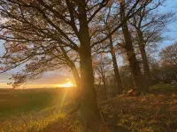 Warwickshire Woodland Glamping Cabin - Oak - 2-Star
