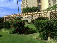 Fabulous Beachfront Property - Ground Floor Corner Unit Steps to the Beach! - 3 Sao