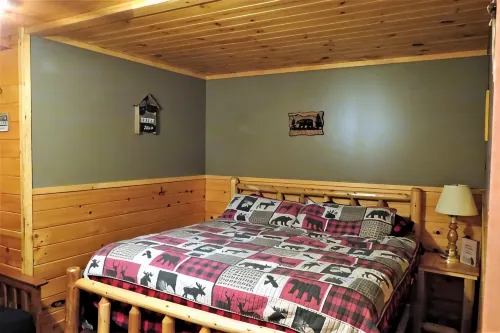 Pet friendly, hot tub, cabin - Chalets