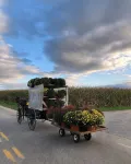 Spa Cottage in Tranquil Amish Country, Jetted Tub, Outdoor Patio - ブティック
