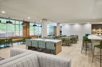 SpringHill Suites by Marriott St. Louis Chesterfield - WiFi