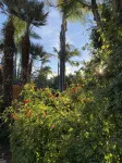 Cactus Garden Cottage…Best Location!! - 4-نجوم