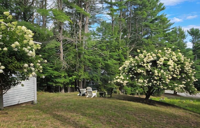Cozy 2-bdrm, 3-season Adirondack cabin at tranquil Great Sacandaga Lake w/WiFi