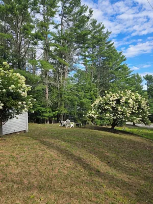 Cozy 2-bdrm, 3-season Adirondack cabin at tranquil Great Sacandaga Lake w/WiFi - Wifi