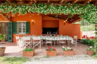 Charming Villa with private pool between Lucca and Florence - 3-Star