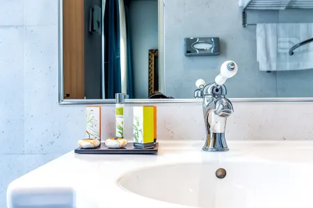 Hotel Regence Paris