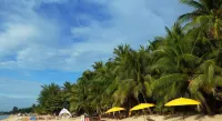 Astrococo Beach Resort by Coconut Beach Hotels in Koh Samui