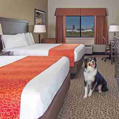 Gray Wolf Inn & Suites Rooms