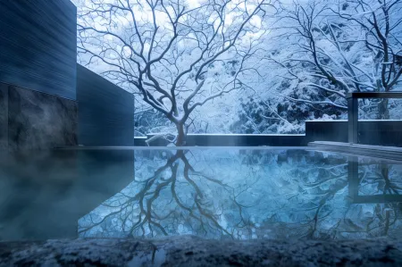 Hoshino Resorts KAI Sengokuhara Отели рядом с достопримечательностью «Owakudani»