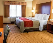 Comfort Inn & Suites Franklin East Simpson County otelleri