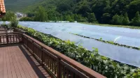 Yeongwol Donggangpo Dowon Rafting Pension