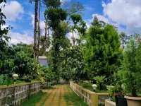 Hidden Creek Coorg Hotels in Badagarakeri