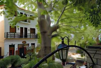 Gastronomy Hotel Kritsa Hotels in Makrinitsa