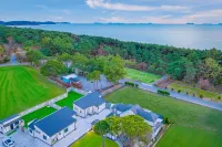 Taean Dog Day Pet Pool Villa - Pet friendly