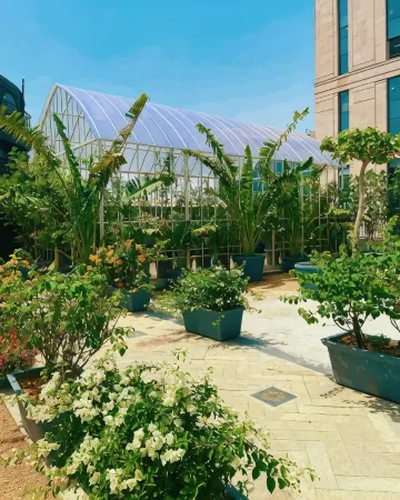 Lime Tree Hotel Near 32nd Avenue Sector 29 Gurgaon Отели рядом со станцией Gurgaon Railway Station