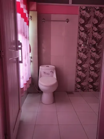 Hotel Chandragiri Paradise Отели в г. Chandragiri