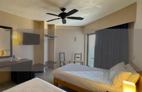 巴拉德納維酒店