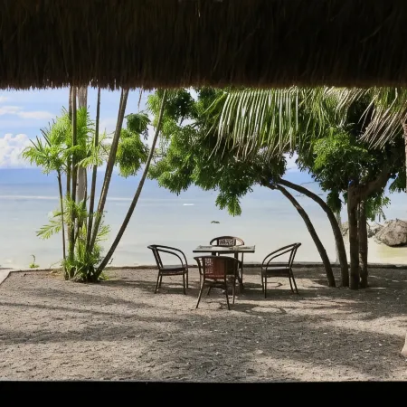 The Wild Orchid Resort - Moalboal