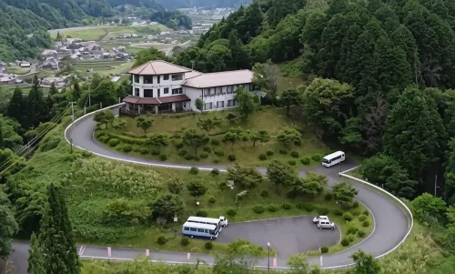 綠色溫泉杜鵑
