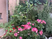 Your House in Tbilisi - ห้องครัว