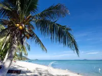 Phangan Beach Resort - Romanttinen