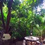 Malunggay Apartments