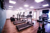 Holiday Inn Express & Suites REHOBOTH BEACH by IHG - gimnasio
