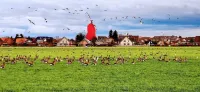 Fantastic holiday home on the left Lower Rhine between the Rhine and Wisseler See