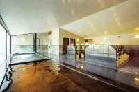 Hotel Emion Tokyo Bay - Hot Springs