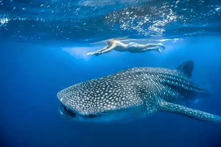 Hacienda Antigua Villa, 50m from Sandy Beach