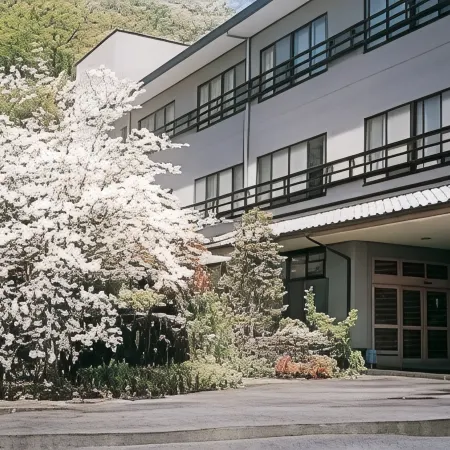 Ryokan Hinode Onsen