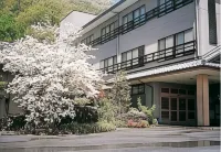 Ryokan Hinode Onsen - Vuoristonäköala