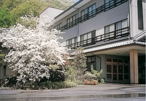 Ryokan Hinode Onsen