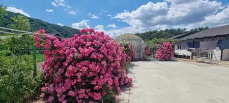 Hwacheon Bebe Pension Отели в г. Хвачхон