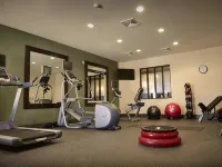 Hampton Inn Indianapolis NW/Zionsville - Gym