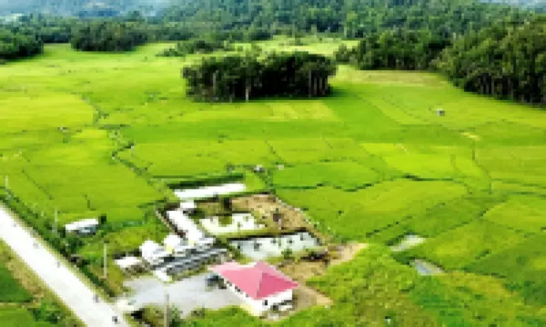 巴端薄荷島爵士農場旅館