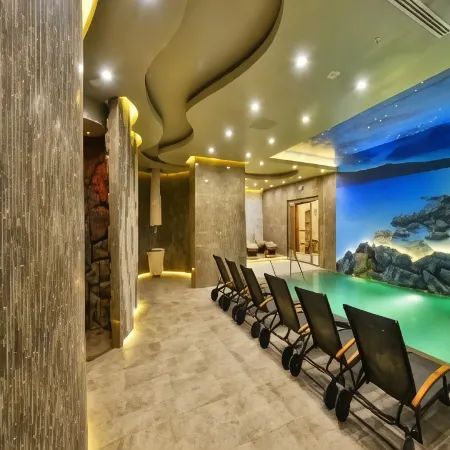 Marigold Thermal & Spa Hotel Bursa