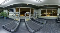 InterContinental Hotels SANTIAGO by IHG - 피트니스 시설
