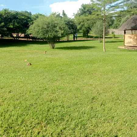 Enjoy camping in our beautiful paradise!