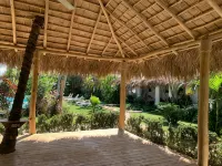 Hotel la Tortuga
