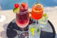 Marinaterra Hotel & Spa - bar