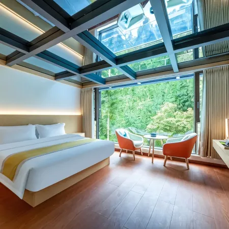 Wawushan Jingxin Courtyard Homestay