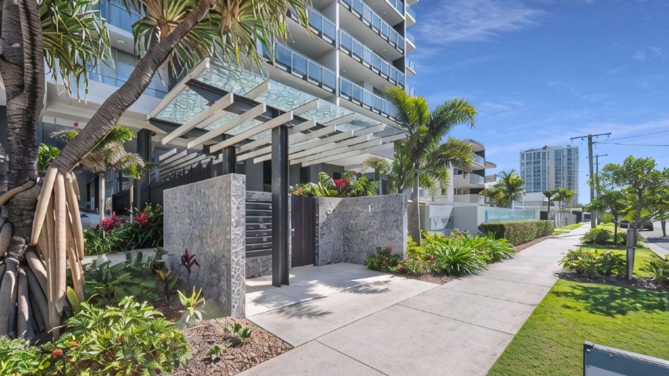 Verve on Cotton Tree