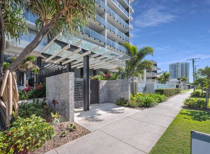Verve on Cotton Tree
