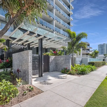 Verve on Cotton Tree