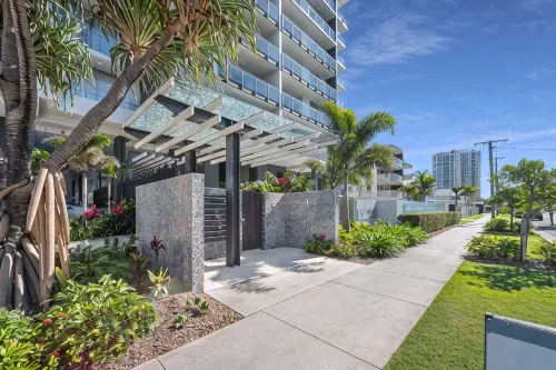 Verve on Cotton Tree