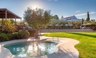 a serene outdoor setting with a pool surrounded by grass , umbrellas , and trees , under a clear blue sky at Convento do Espinheiro, Historic Hotel & Spa