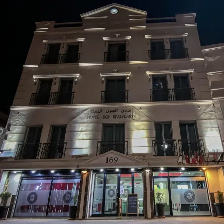 Hotel des Beaux-Arts