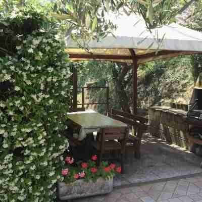 Vacation home L'Ulivo in Tuscany, Hotel Exterior